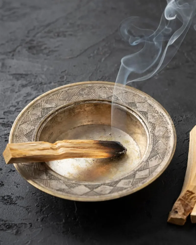 Palo Santo dřívko