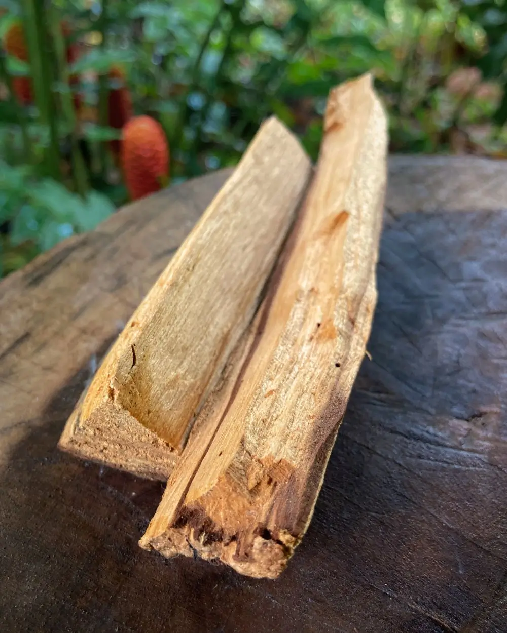 Palo Santo Palo Santo