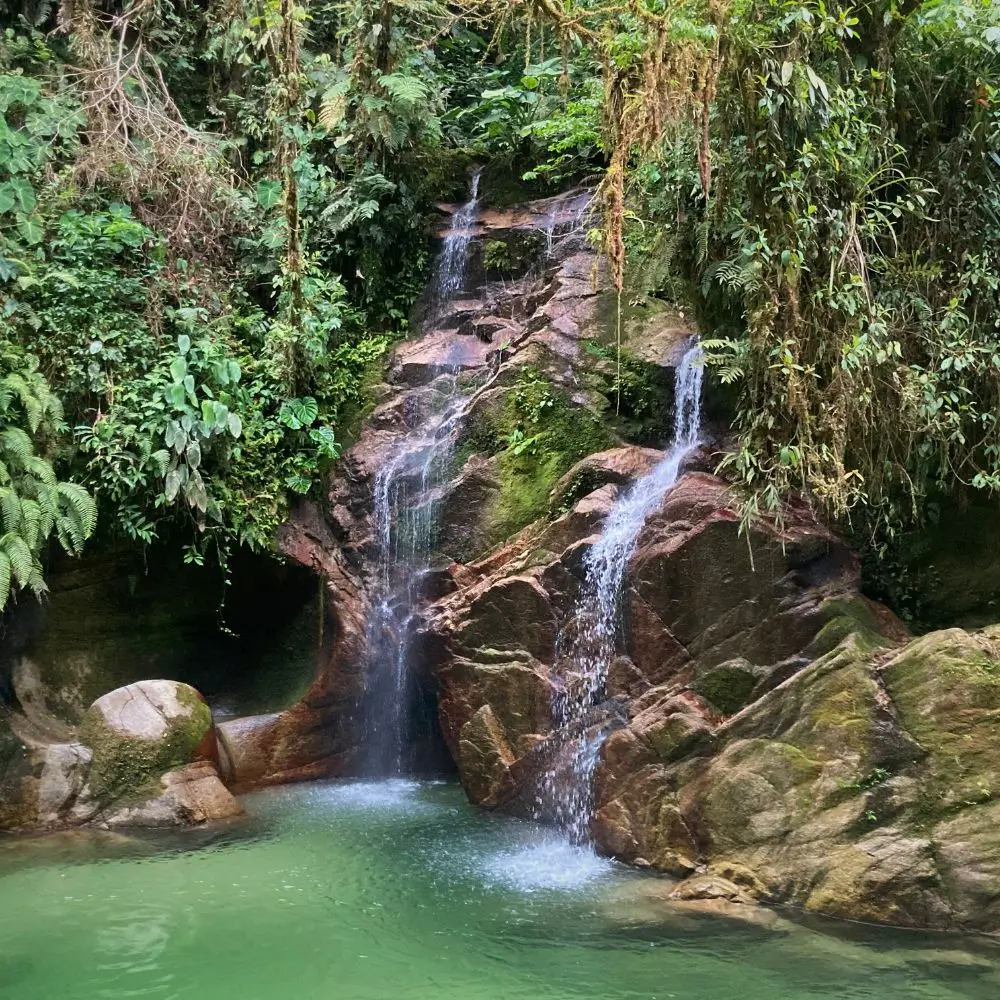 wild sage waterfall